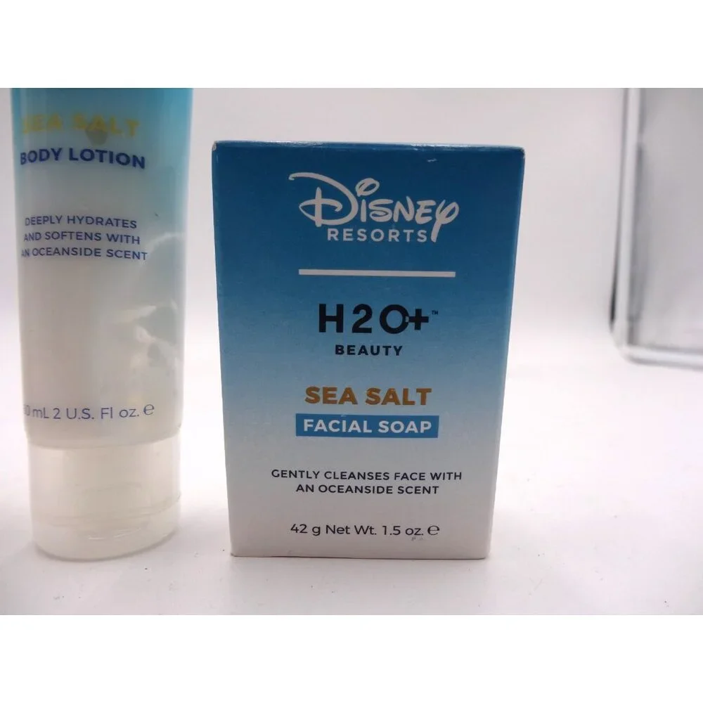 Disney resorts sea